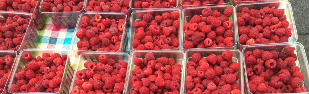 When Berry Seasons Collide....strawberries, raspberries, and cherries, oh my!
