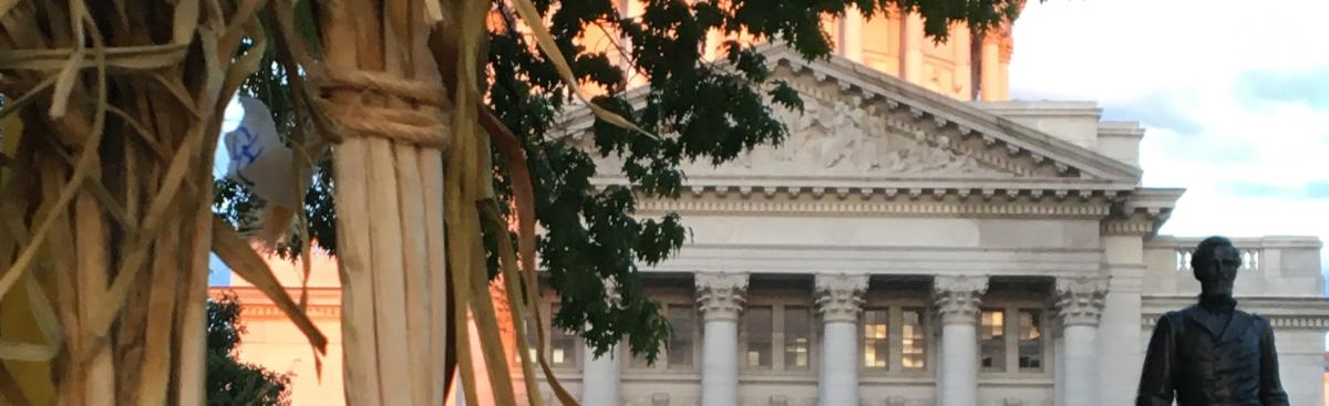 Celebrate the 45th Anniversary of the Dane County Farmers' Market!