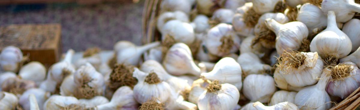 Big Batch Recipes