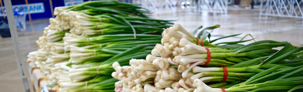 The Humble Green Onion