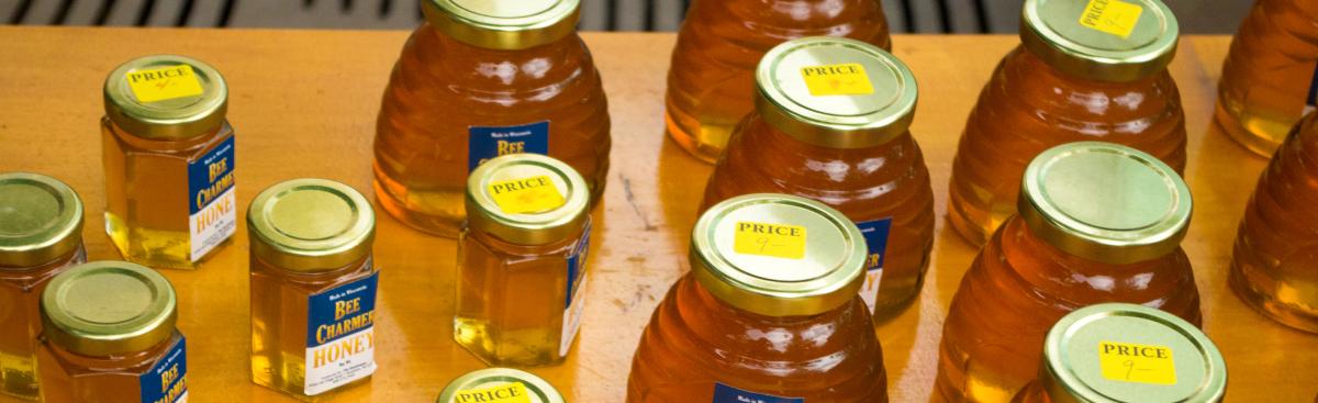 Bzzzzz....Show Some Love for the Honey Bee!