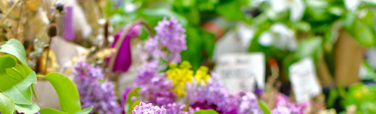 Flower power