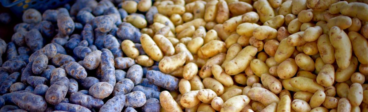 The Late Winter Market will move to Garver Feed Mill