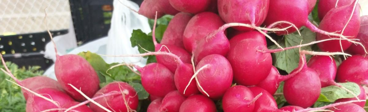 What to Expect at the Market in the Spring