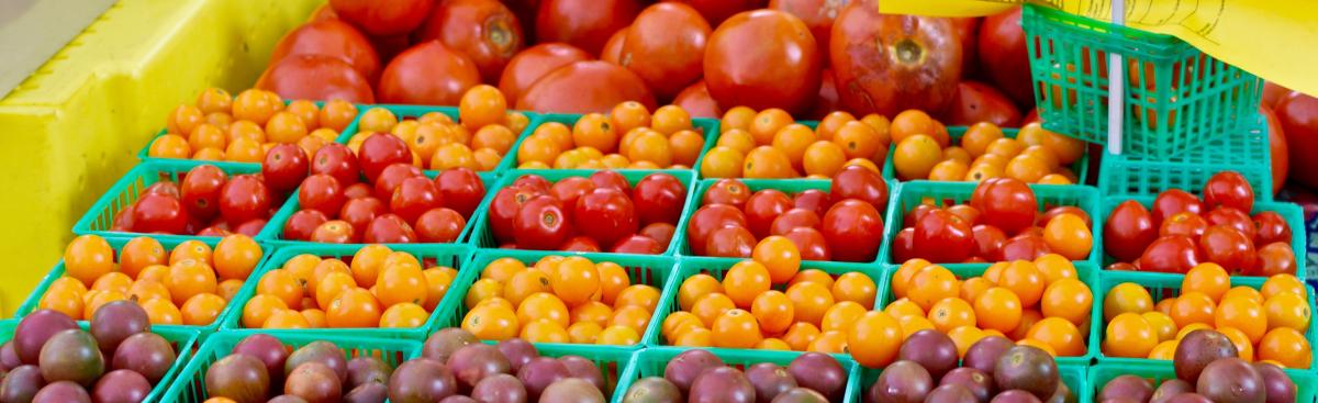 July 8th - Art Fair Market