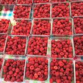 When Berry Seasons Collide....strawberries, raspberries, and cherries, oh my!