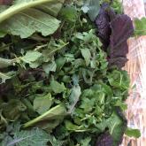 5 Ways to Rock Those Salad Greens (that do not involve salad!)