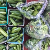 Local Food Pick Up at Willow Island....Tips for Ordering and How to Be Prepared!