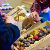 Recipe of the Week - Zuppa Toscana 