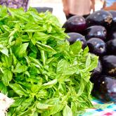 Thyme to Savor Some Herbs!