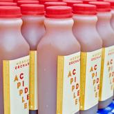 Savor Autumn at Market