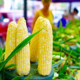 Recipe of the Week - Corn & Shallot Fritters