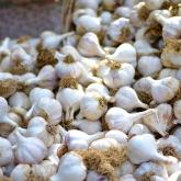 Big Batch Recipes