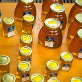 Bzzzzz....Show Some Love for the Honey Bee!