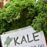 Recipe of the Week - Sesame Noodles with Kale & Mushrooms