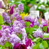 Flower power