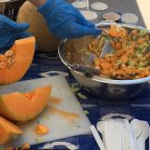 Recipe of the Week - Melon, Cucumber and Feta Salad