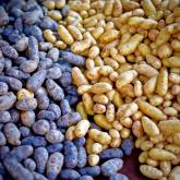 The Late Winter Market will move to Garver Feed Mill