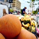 Recipe of the Week - Pumpkin Cake with Ginger-Mascarpone Frosting