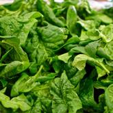 Recipe of the Week - Mini Sweet Potato and Spinach Frittata