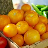 Recipe of the Week - Ratatouille
