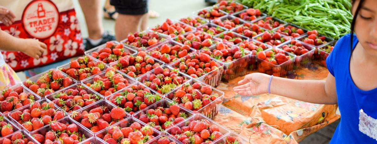 Dane County Farmers' Market - Saturday on the Square in Madison, WI