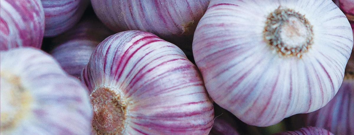 Cookbook | Dane County Farmers’ Market