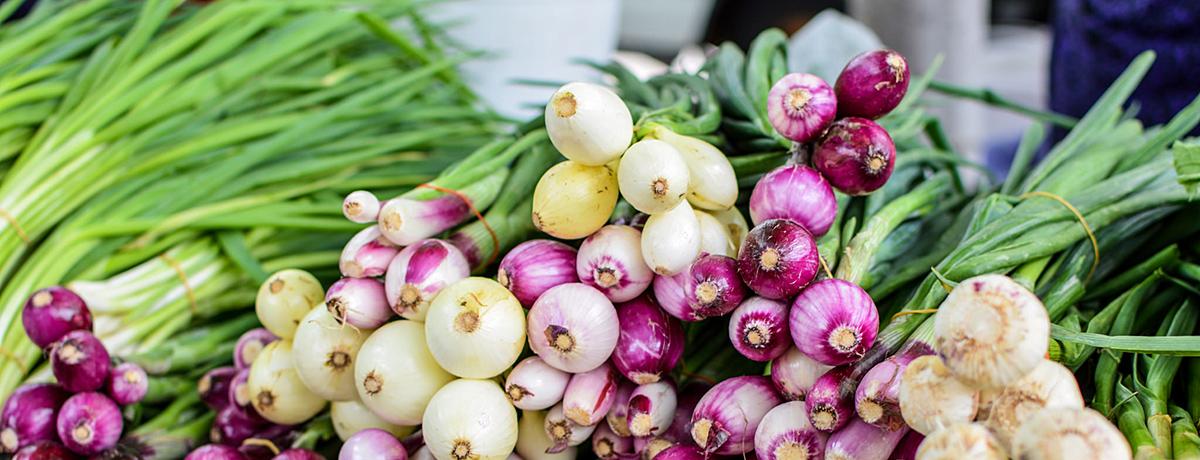 DCFM Holiday Farmers' Market