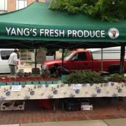 Yang's Fresh Produce
