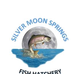 Silver Moon Springs